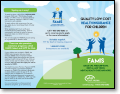 FAMIS Brochure Image